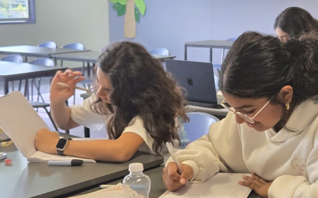 Two NRICH Learning students collaborating on practice questions