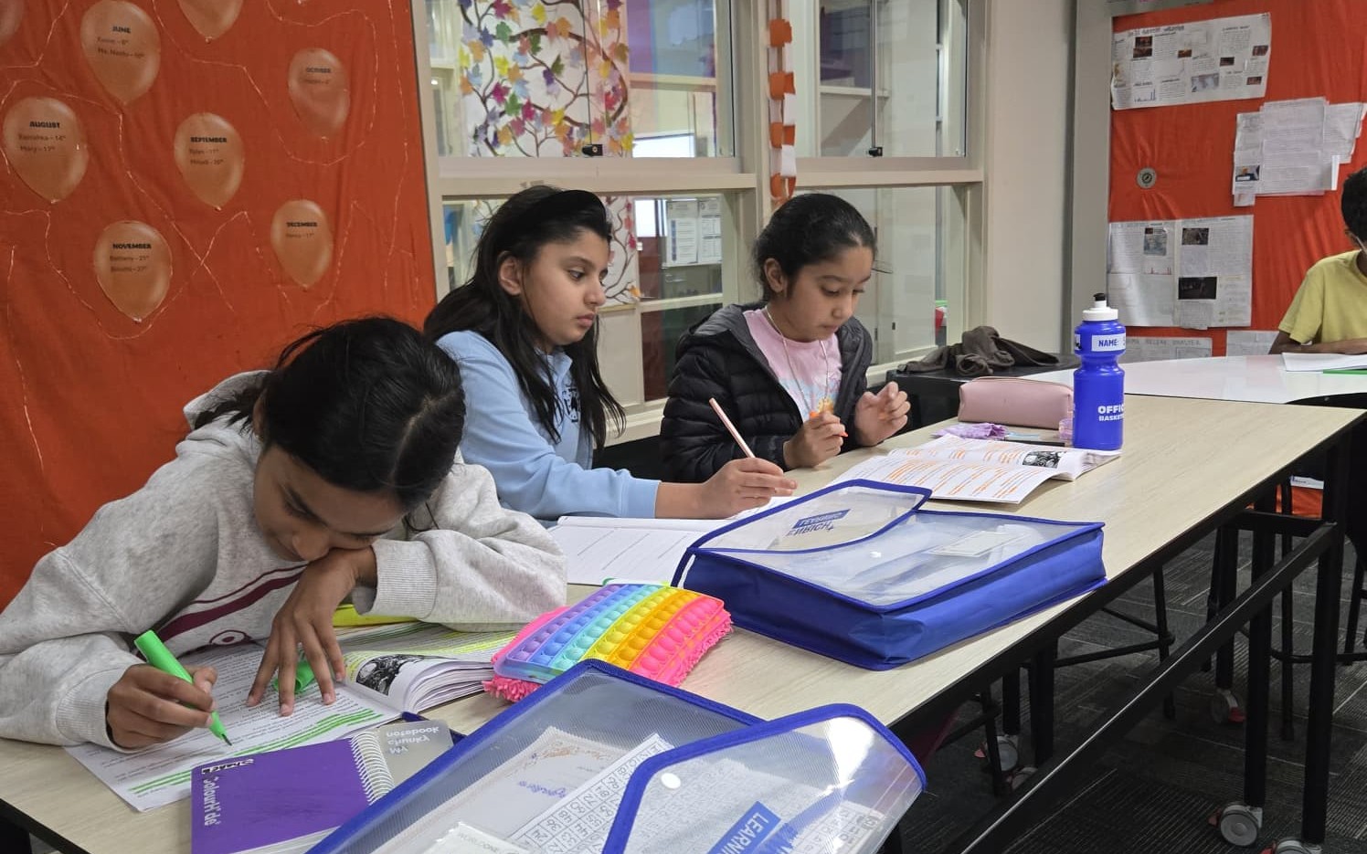Student beginning a personalised tutoring plan